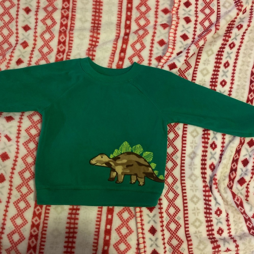 Dinosaur sweater